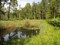 Kellenhusen Sommer 2006