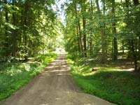 Kellenhusen Sommer 2006
